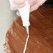 Decorating Tip 55