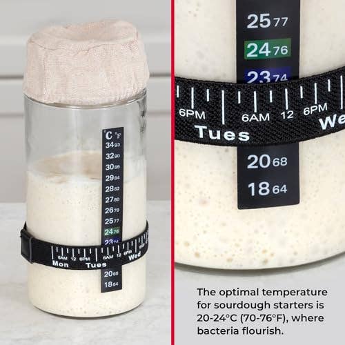Artisan Sourdough Starter Kit – 34 oz Glass Jar with Scale & Tools
