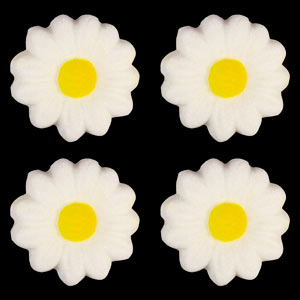 Daisy Royal Icing Decorations 12 Count