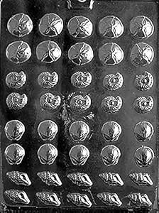 Life of the Party Tiny Shell Assortment