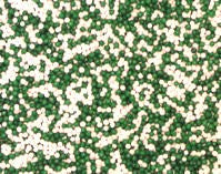 Nonpareils: Green & White 16