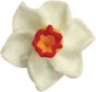 Edible Decorations Narccissus Mini Royal Icing 1in 6-Count