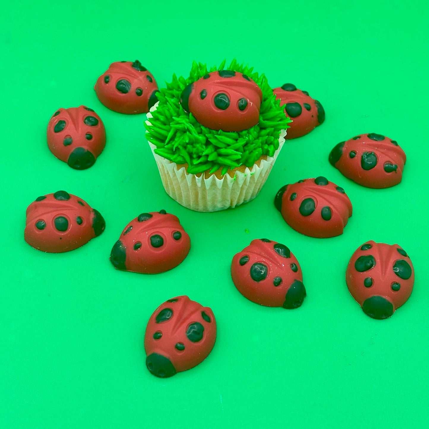 Ladybug Chocolate Mold – 15 Cavity Silicone Mold with Butterfly Designs