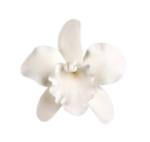 Gum Paste Cattleya 2.5' White 1-Count