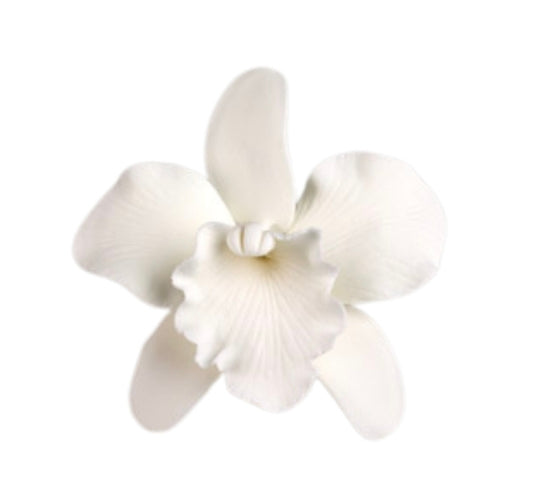Gum Paste Cattleya 2.5' White 1-Count