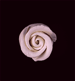 Pink Gum Paste Rosebuds 1 Inch Edible Cake Decorations – 6 Count