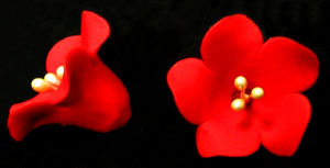 Edible Decorations Fruit Blossom Red 5 Piece