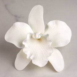 Gum Paste Cattleya 2.5' White 1-Count