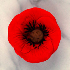 Edible Decorations Poppy On Wire Red