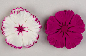 Edible Decorations Dianthus 3 Piece