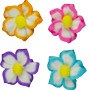 Star Flower Minis 12pc