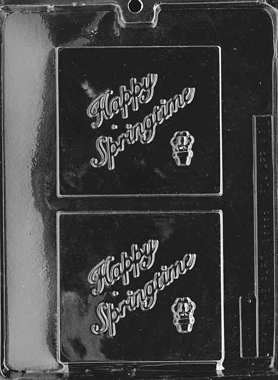 Happy Springtime Chocolate Bar Mold 2 Cavity