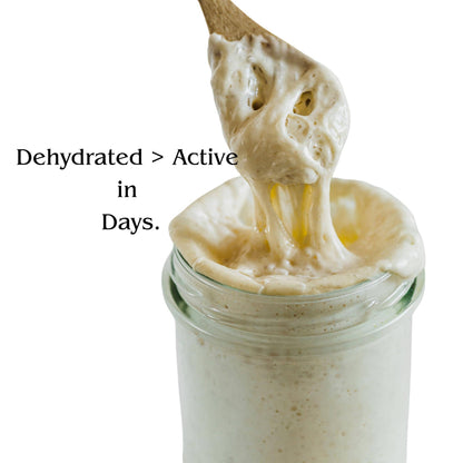 Dehyhdrated Sourdough Starter Culture - San Francisco Style