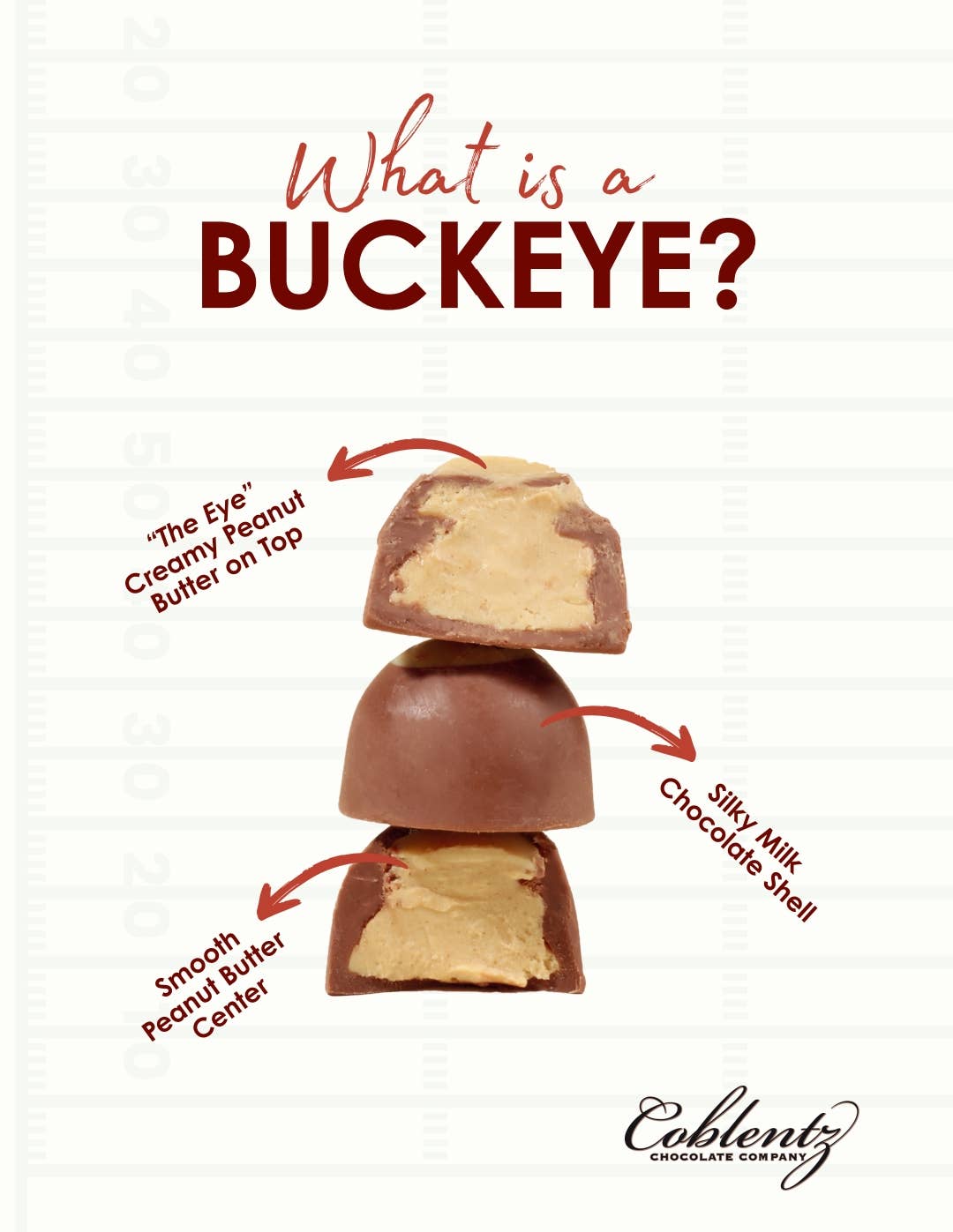 Bite Sized Milk Peanut Butter Buckeyes
