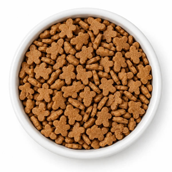 Confetti Sprinkles Gingerbread 6 oz