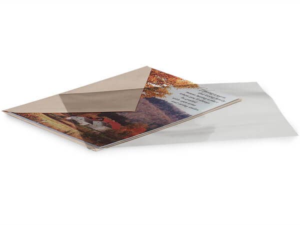 Cellophane Treat Bags Clear Flat 25 Pack 2.5x4.25"