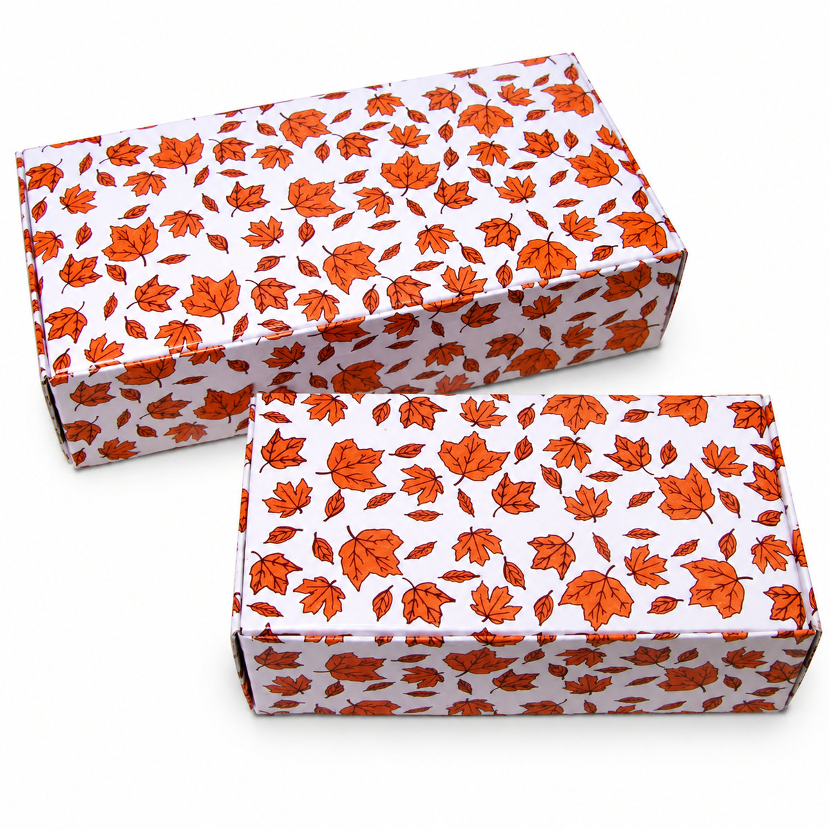 1lb Fall Leaves Box 5pk
