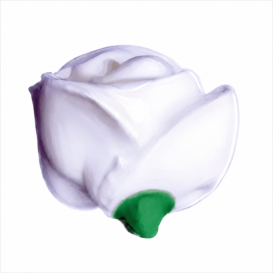 Half Rose Icing Topper White 10 Count