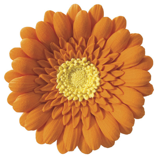 Orange Gerbera Daisy 3in Orange 1-Count