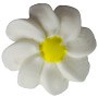 Edible Decorations Medium White Daisy 1in 6-Count