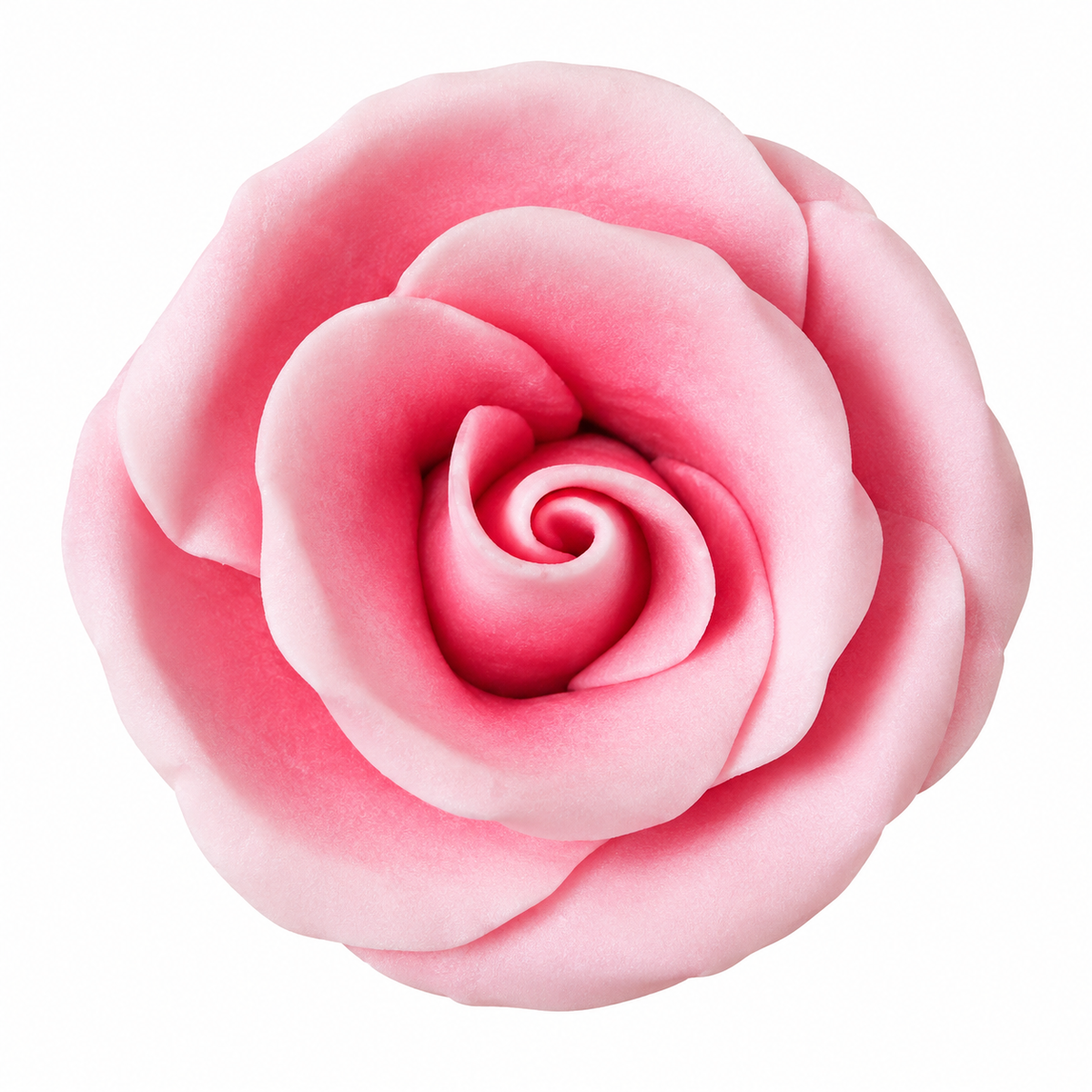Pink Rose Cake Decorations – Gum Paste Rose