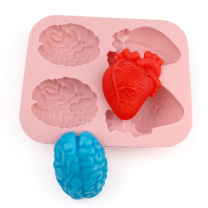 Anatomical Heart & Brain Silicone Mold – 4 Cavity