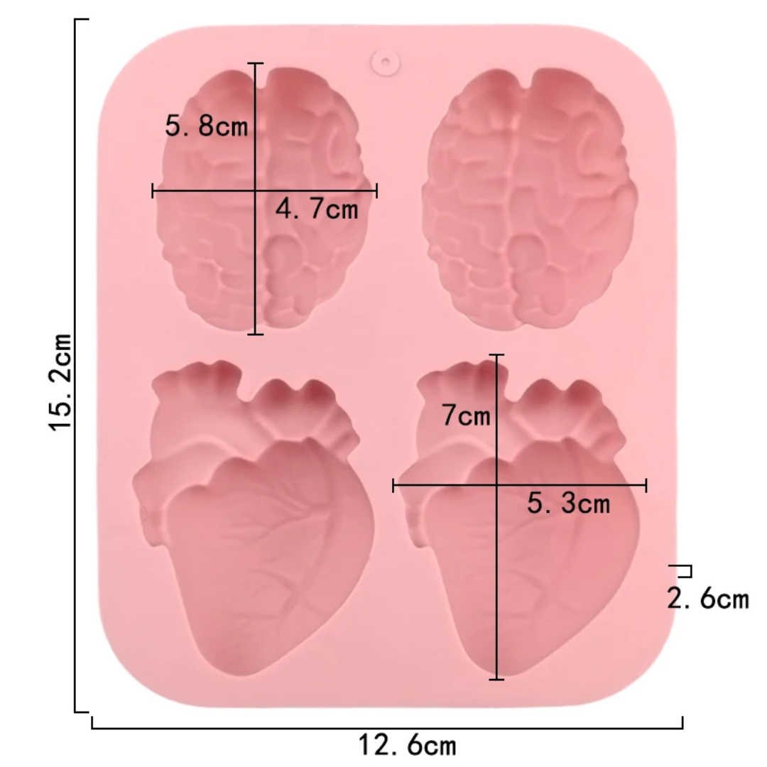 Anatomical Heart & Brain Silicone Mold – 4 Cavity