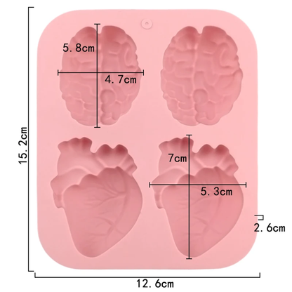 Anatomical Heart & Brain Silicone Mold – 4 Cavity