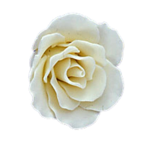 Gumpaste Rose Xl White