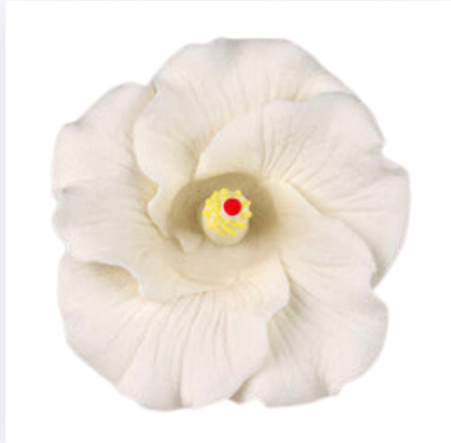Hibiscus Gumpaste Flower Medium White
