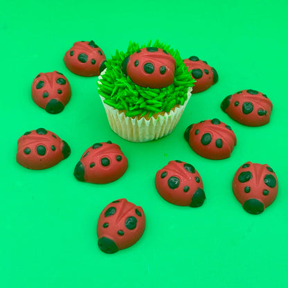 Ladybug Chocolate Mold – 15 Cavity Silicone Mold with Butterfly Designs