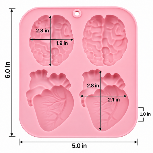 Anatomical Heart & Brain Silicone Mold – 4 Cavity