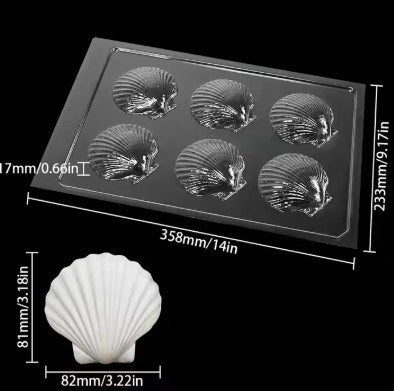 Shell Chocolate Mold 6 cavities